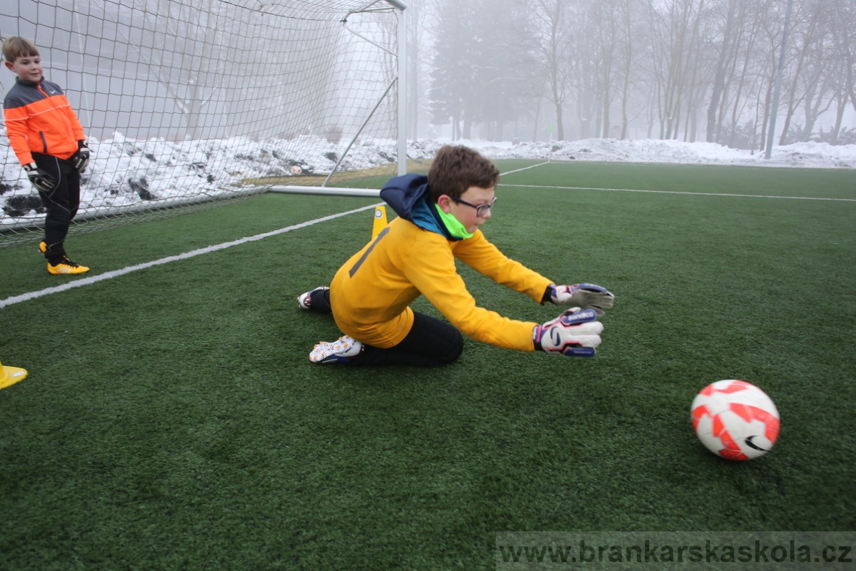 BFŠJCH - Zima 2017 - 3.2,2017