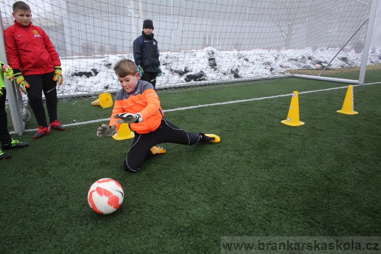 BFŠJCH - Zima 2017 - 3.2,2017
