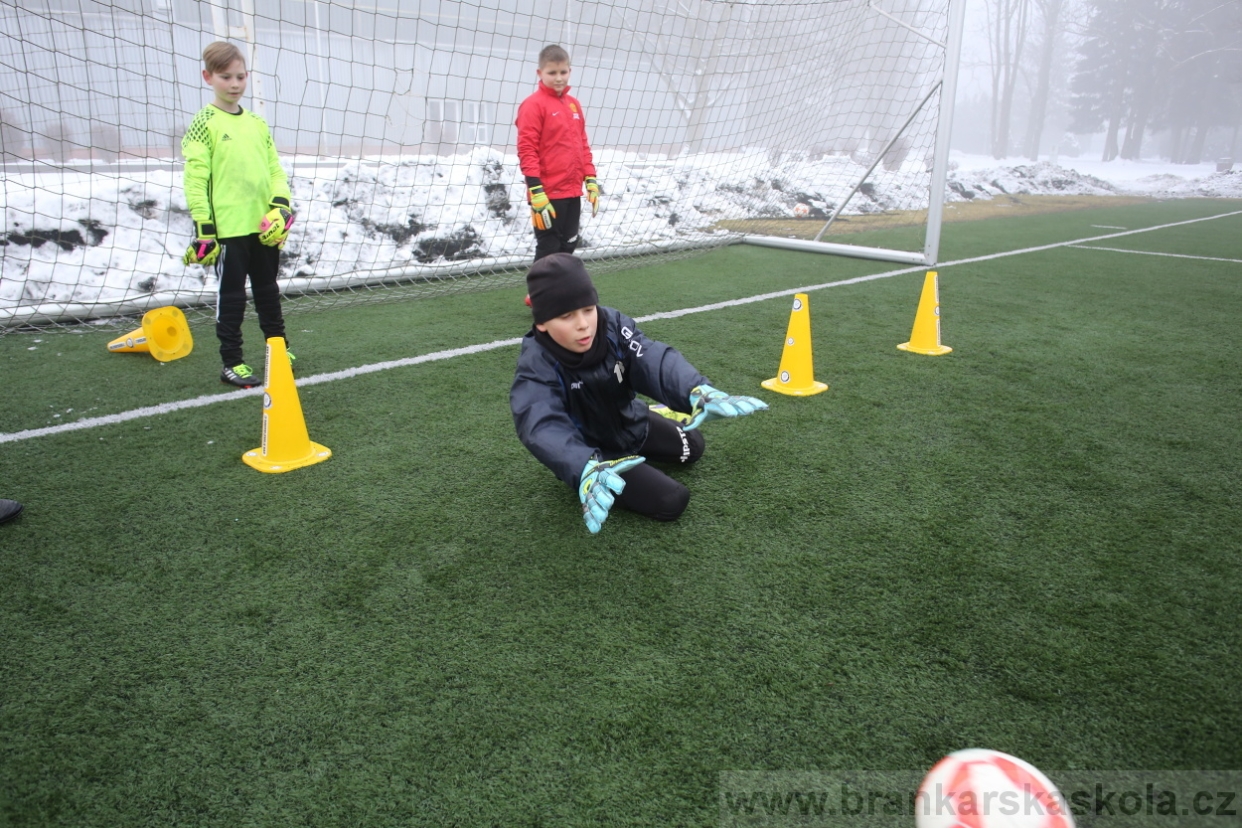 BFŠJCH - Zima 2017 - 3.2,2017