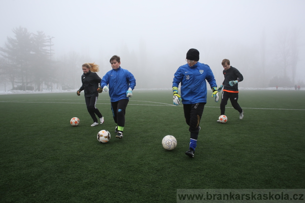 BFŠJCH - Zima 2017 - 3.2,2017