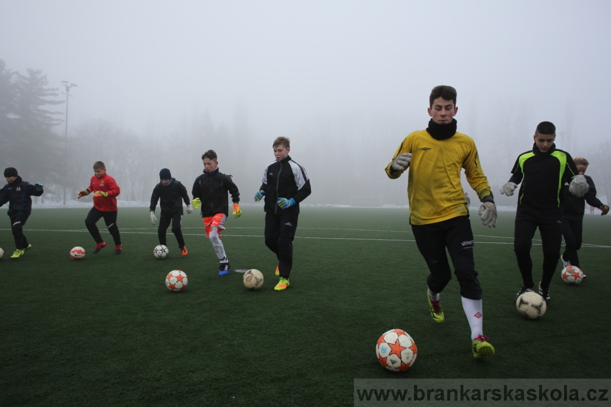 BFŠJCH - Zima 2017 - 3.2,2017