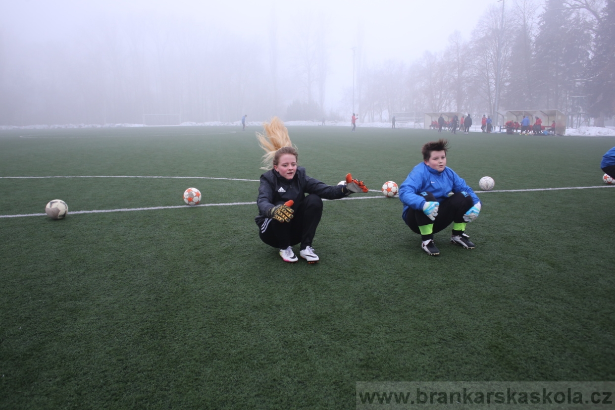 BFŠJCH - Zima 2017 - 3.2,2017