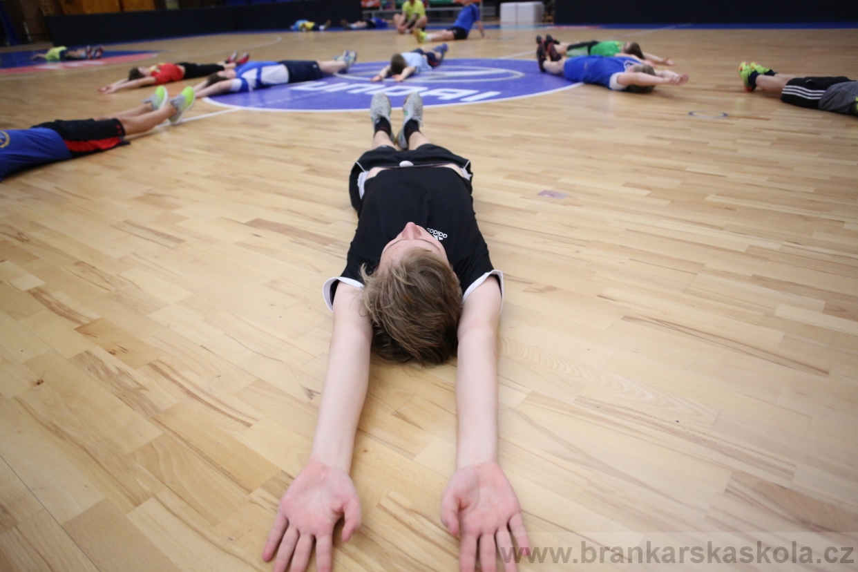 BFŠJCH - Zima 2017 - 3.2,2017