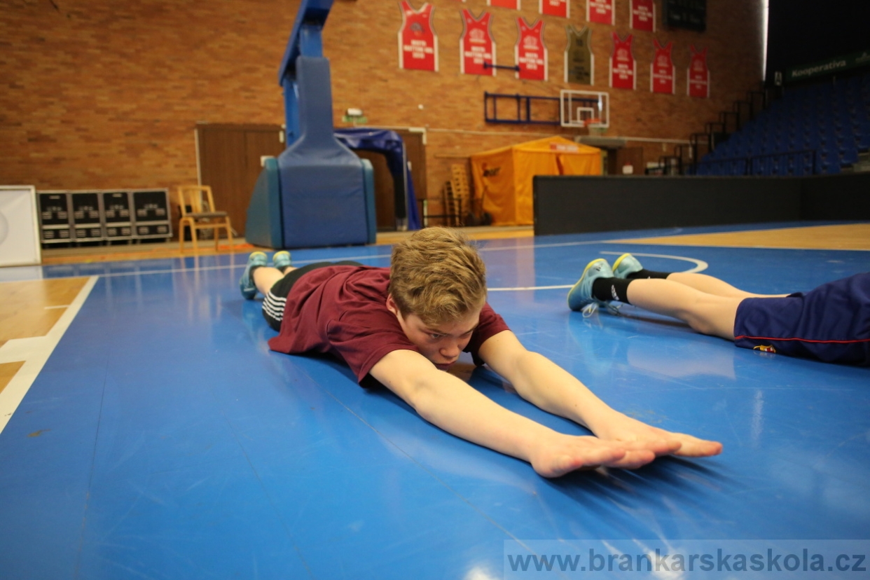 BFŠJCH - Zima 2017 - 3.2,2017