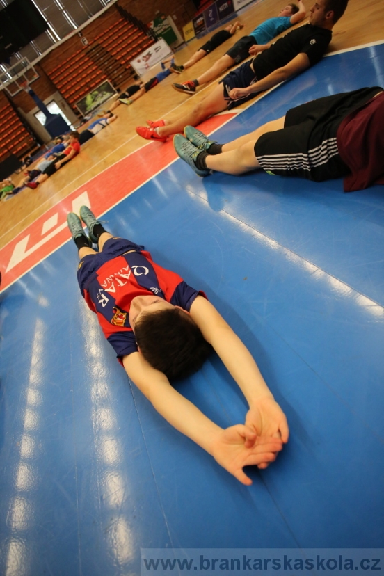 BFŠJCH - Zima 2017 - 3.2,2017