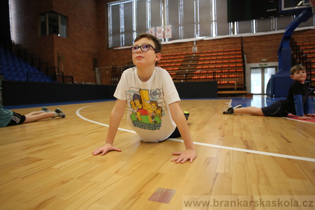 BFŠJCH - Zima 2017 - 3.2,2017