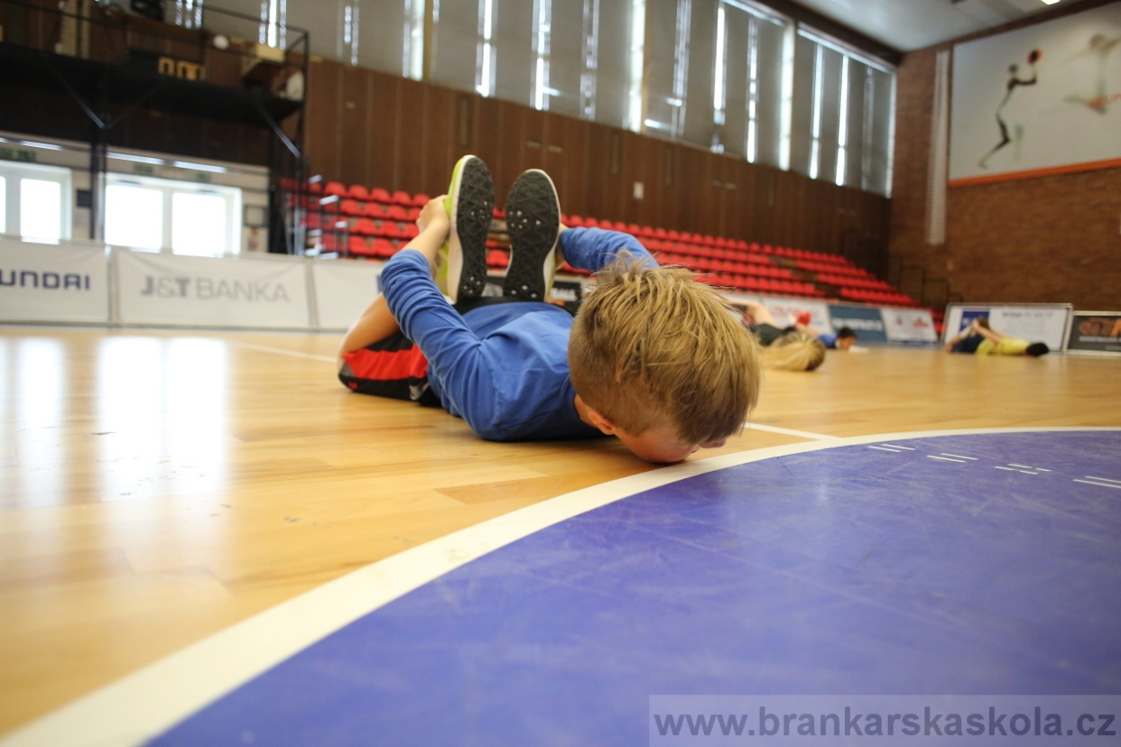 BFŠJCH - Zima 2017 - 3.2,2017