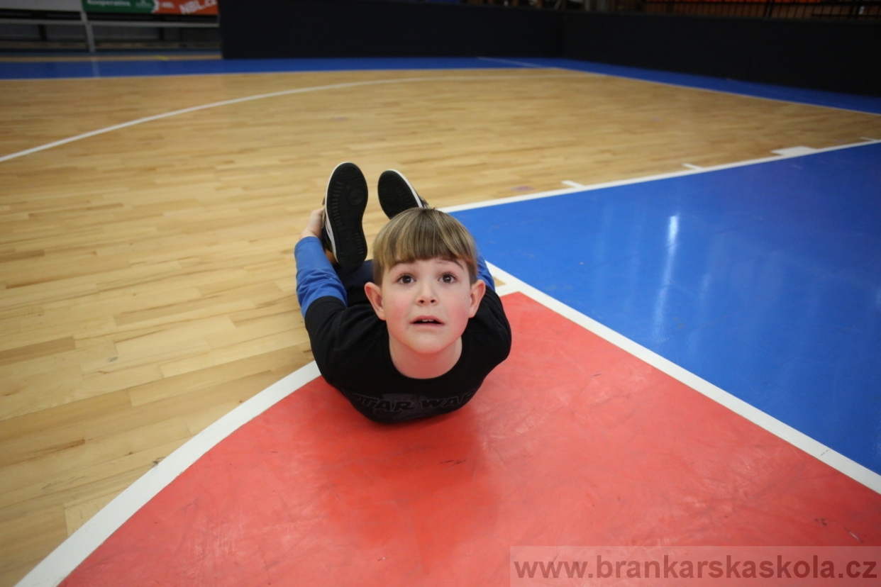 BFŠJCH - Zima 2017 - 3.2,2017