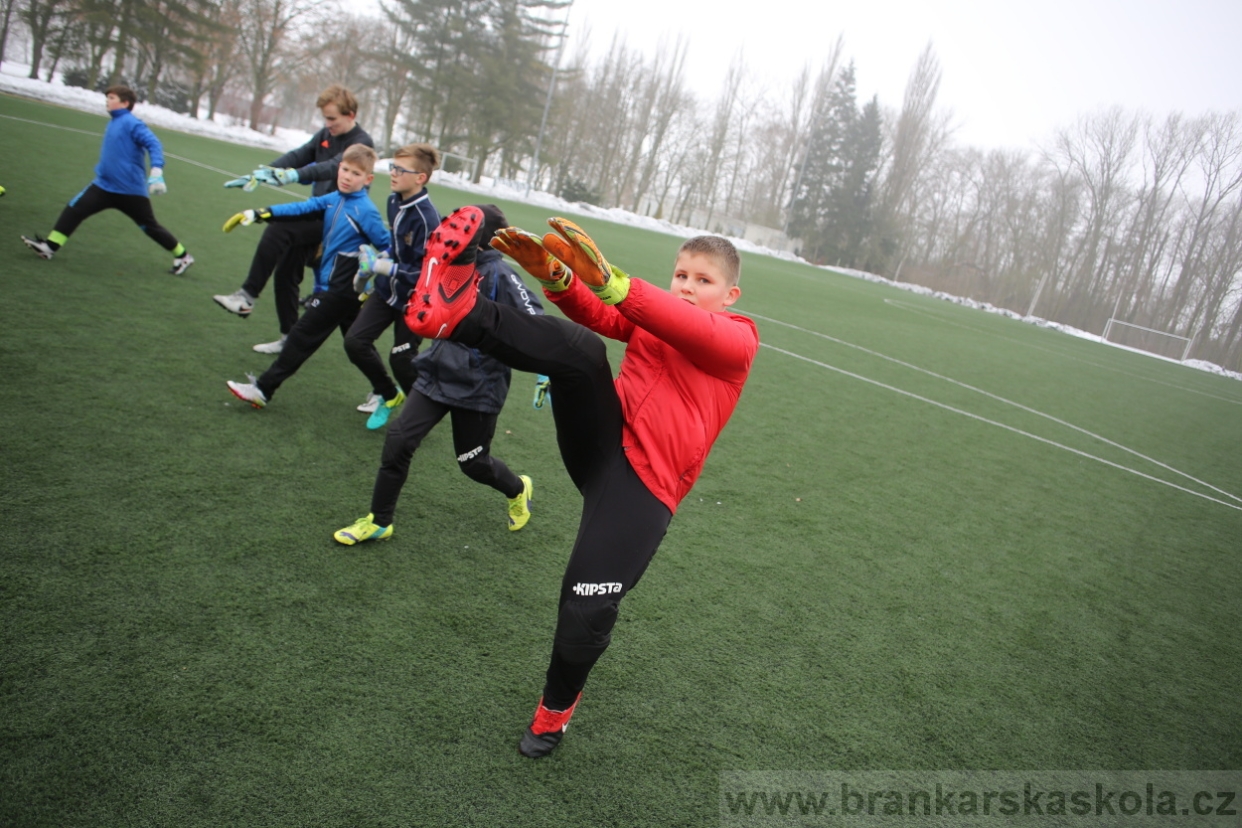 BFŠJCH - Zima 2017 - 3.2,2017