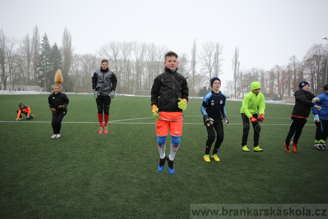 BFŠJCH - Zima 2017 - 3.2,2017