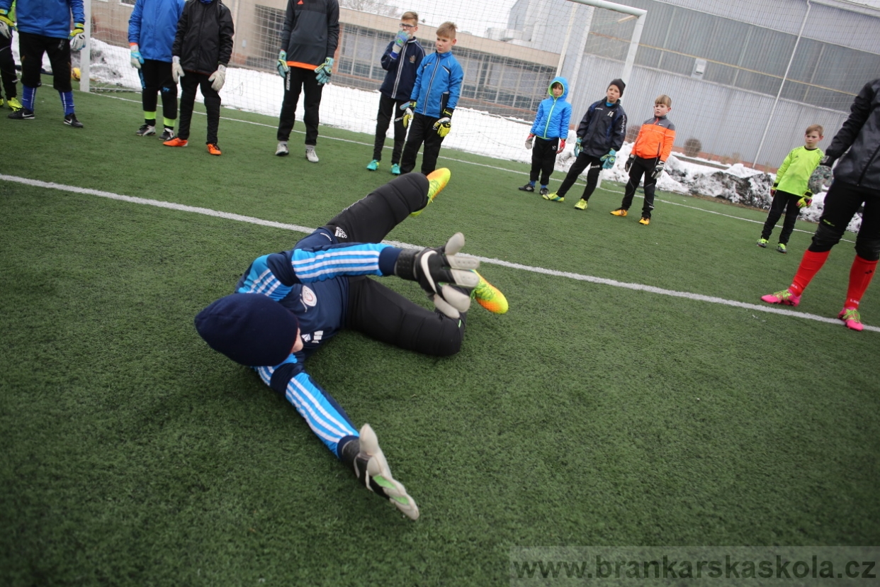 BFŠJCH - Zima 2017 - 3.2,2017