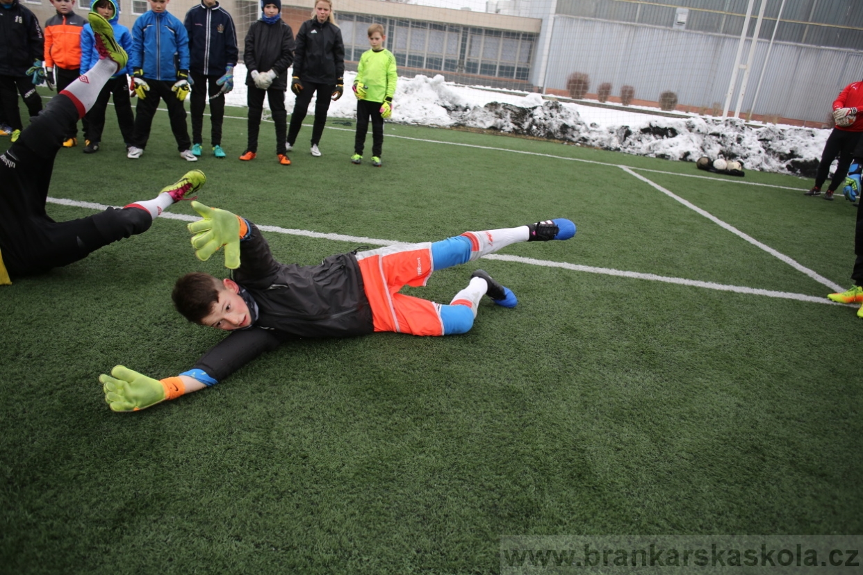 BFŠJCH - Zima 2017 - 3.2,2017