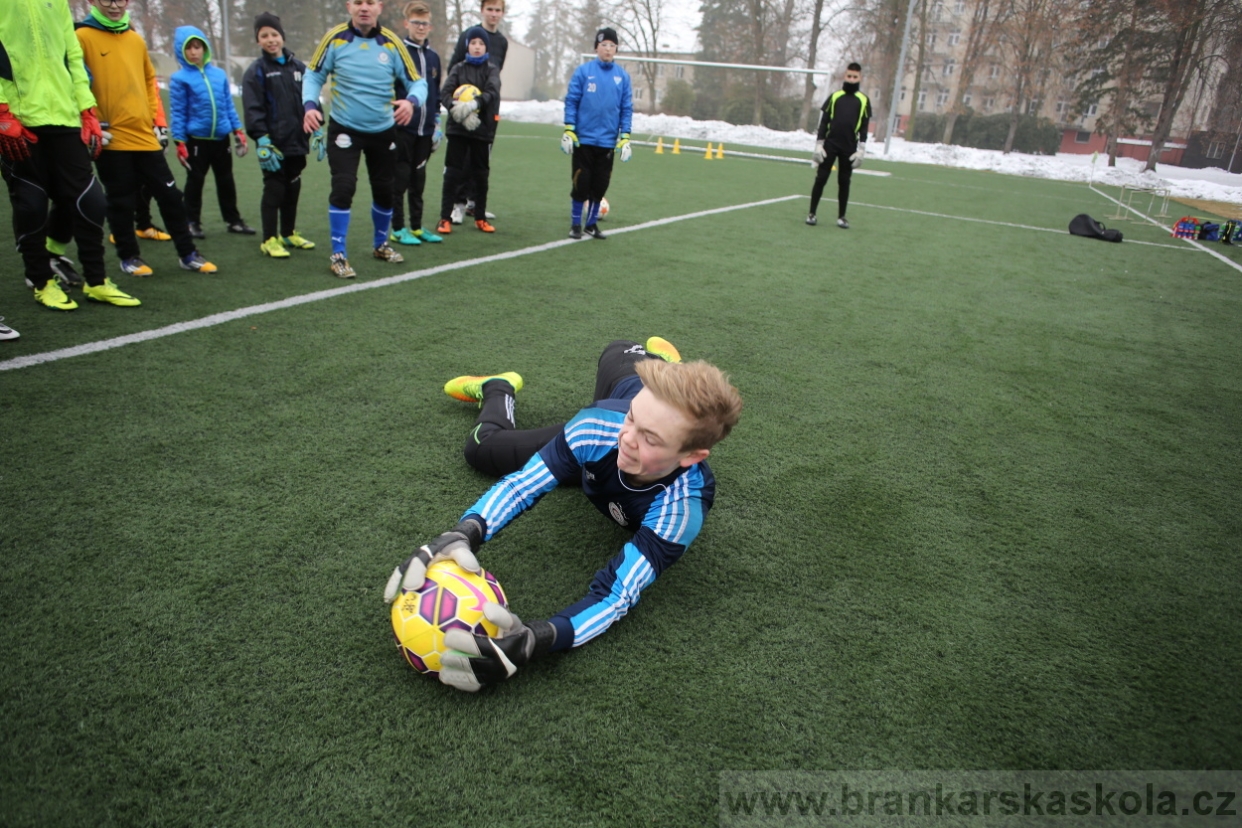 BFŠJCH - Zima 2017 - 3.2,2017