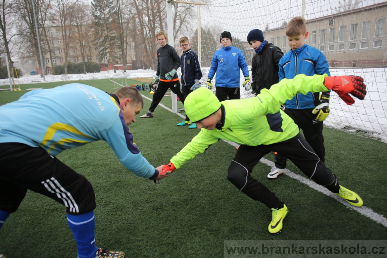 BFŠJCH - Zima 2017 - 3.2,2017
