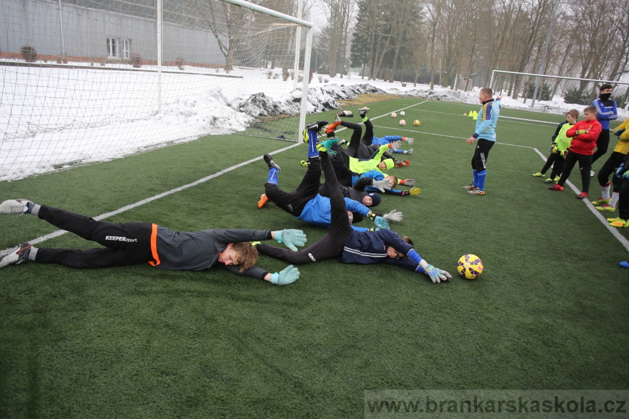 BFŠJCH - Zima 2017 - 3.2,2017