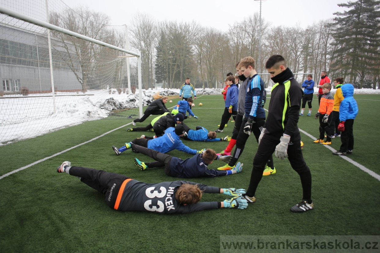 BFŠJCH - Zima 2017 - 3.2,2017