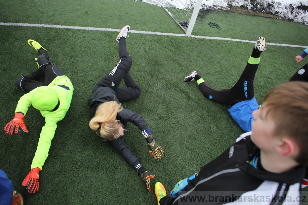 BFŠJCH - Zima 2017 - 3.2,2017