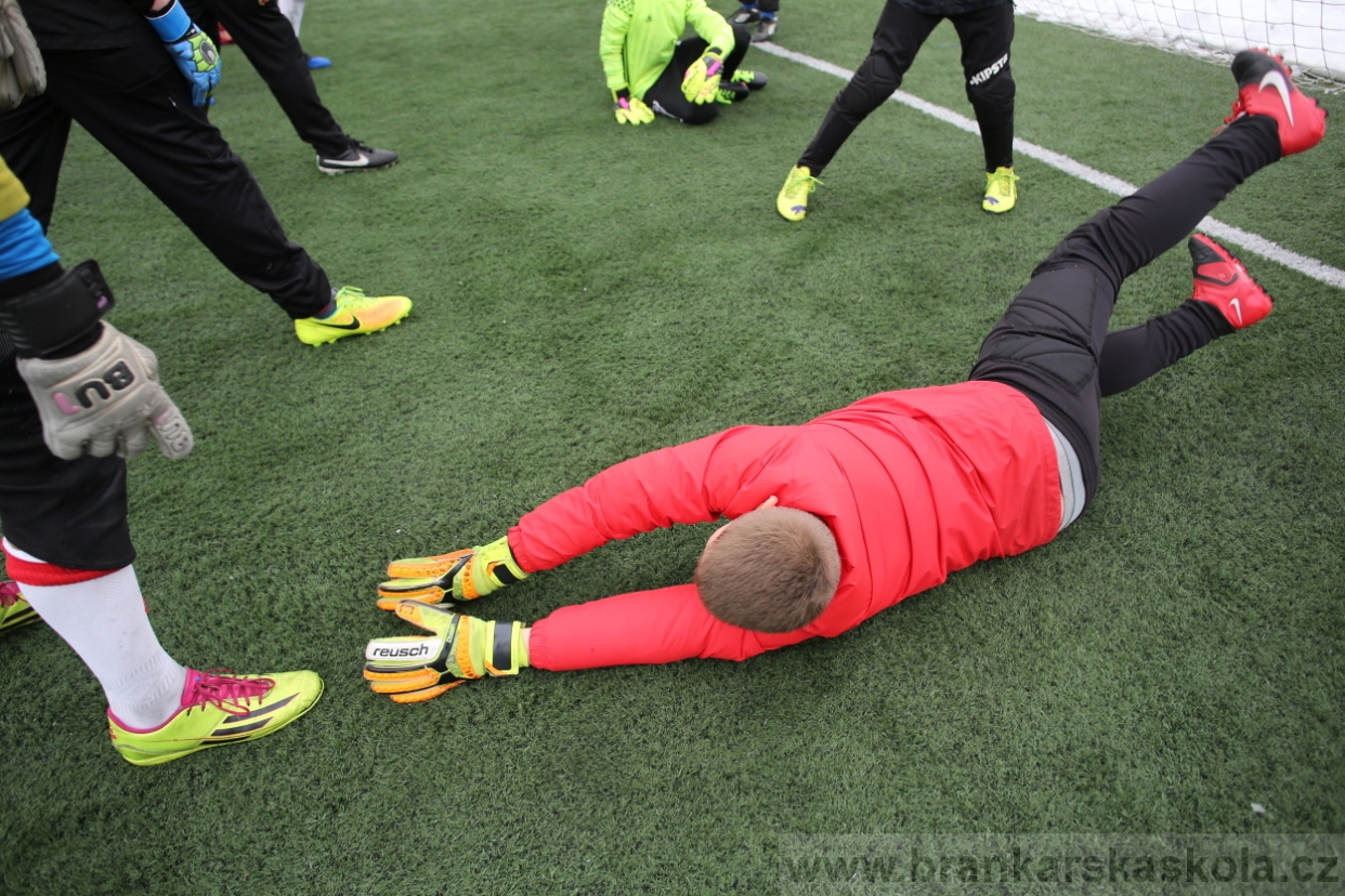 BFŠJCH - Zima 2017 - 3.2,2017