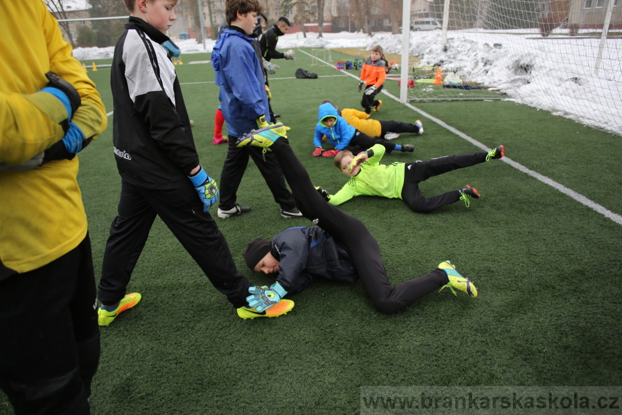 BFŠJCH - Zima 2017 - 3.2,2017