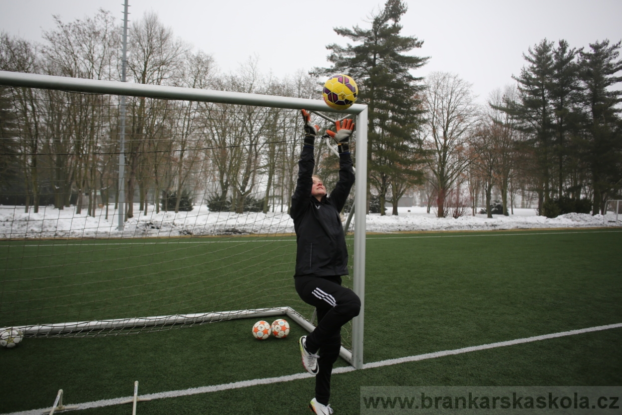 BFŠJCH - Zima 2017 - 3.2,2017