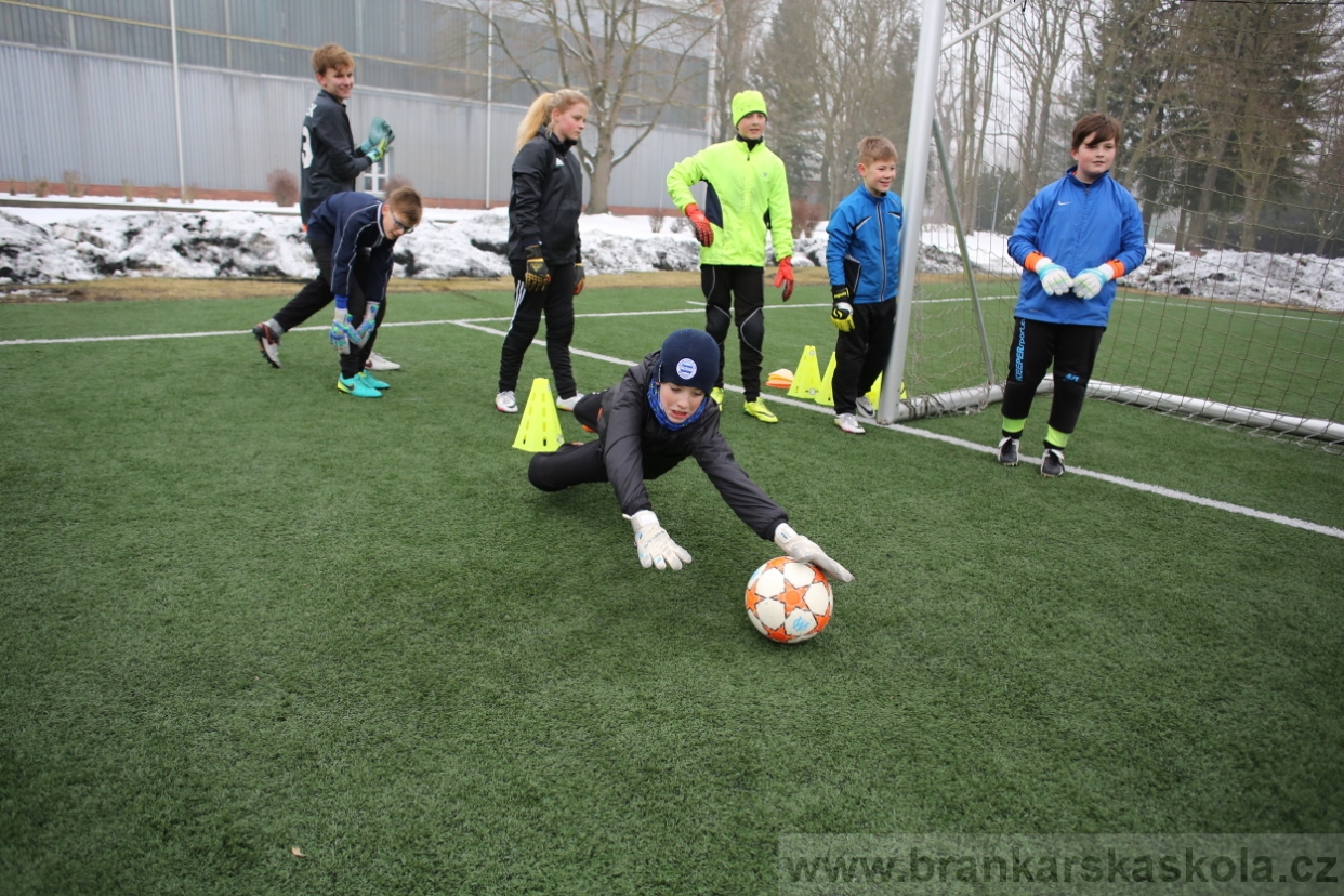 BFŠJCH - Zima 2017 - 3.2,2017