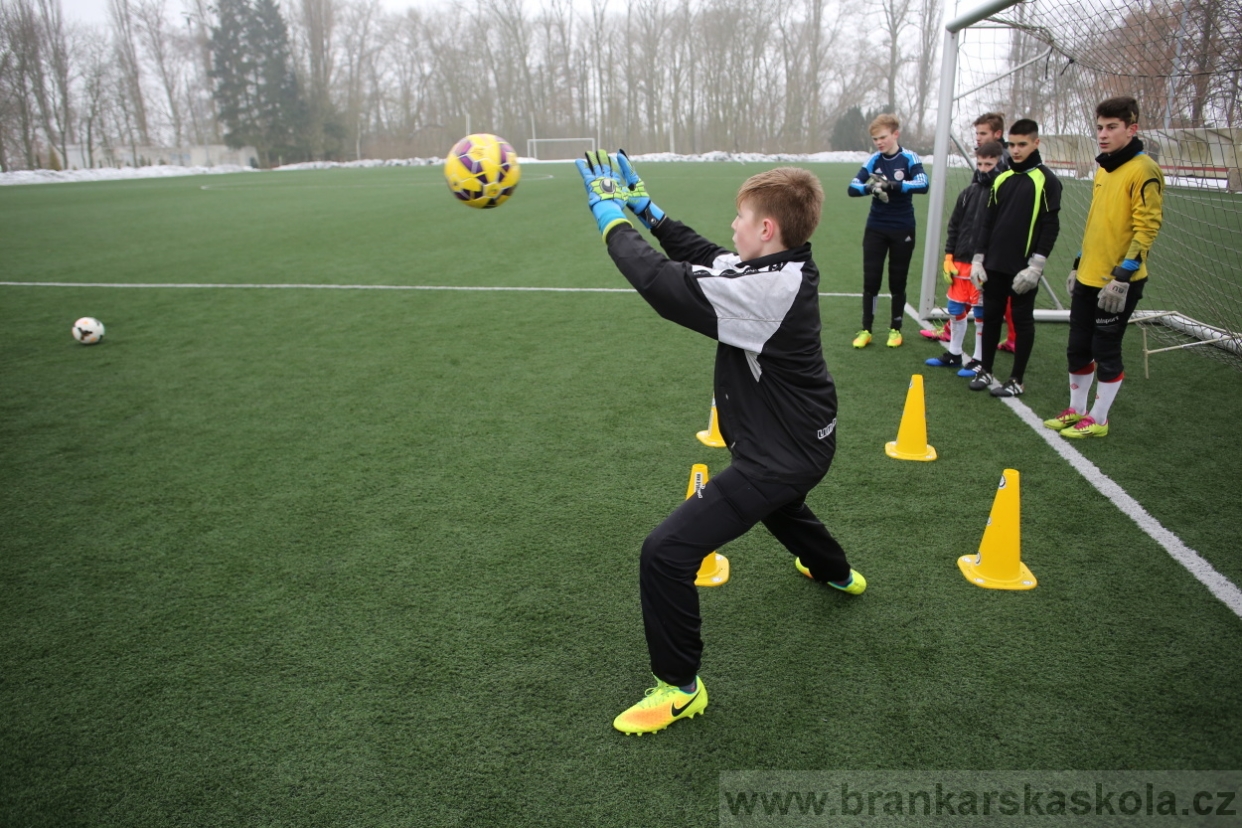 BFŠJCH - Zima 2017 - 3.2,2017
