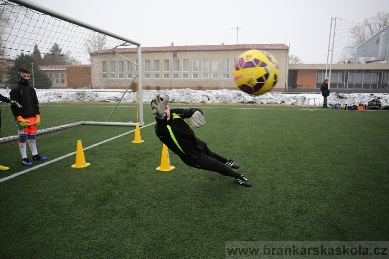 BFŠJCH - Zima 2017 - 3.2,2017