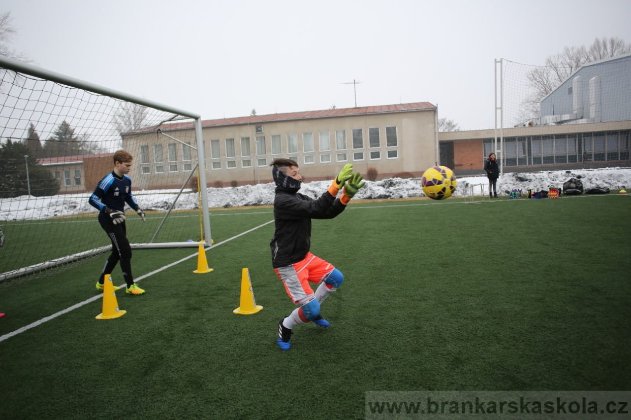 BFŠJCH - Zima 2017 - 3.2,2017