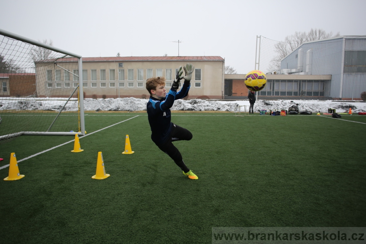 BFŠJCH - Zima 2017 - 3.2,2017