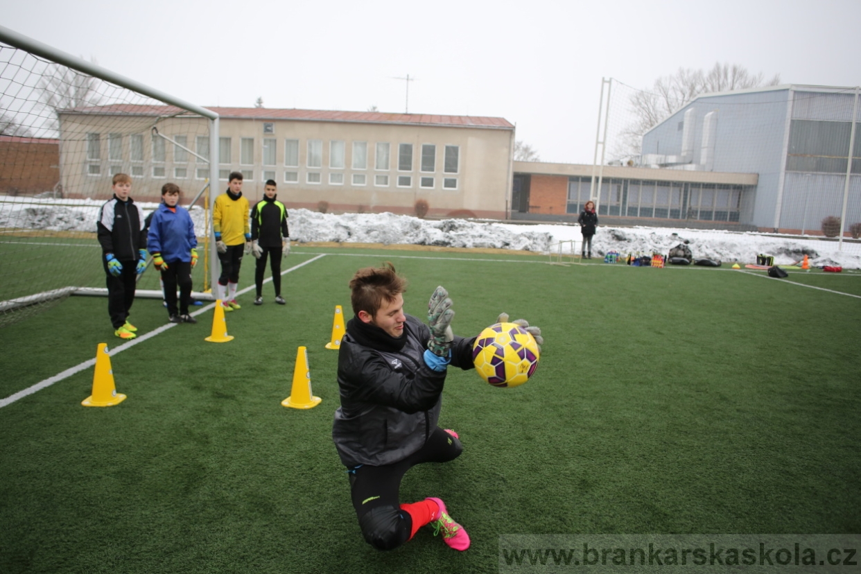 BFŠJCH - Zima 2017 - 3.2,2017
