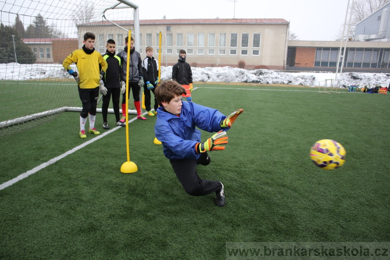 BFŠJCH - Zima 2017 - 3.2,2017