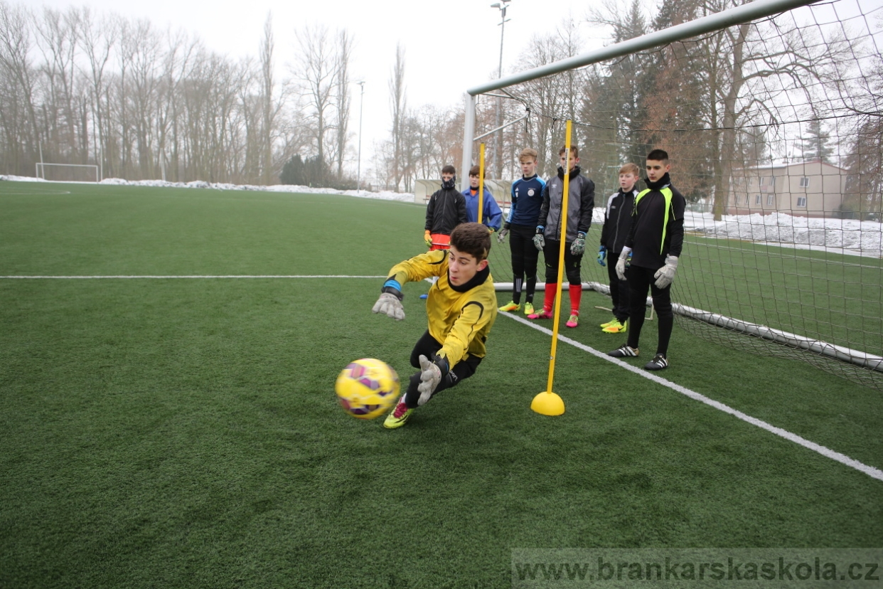 BFŠJCH - Zima 2017 - 3.2,2017