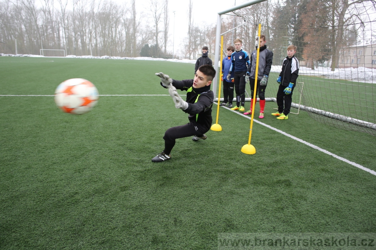 BFŠJCH - Zima 2017 - 3.2,2017