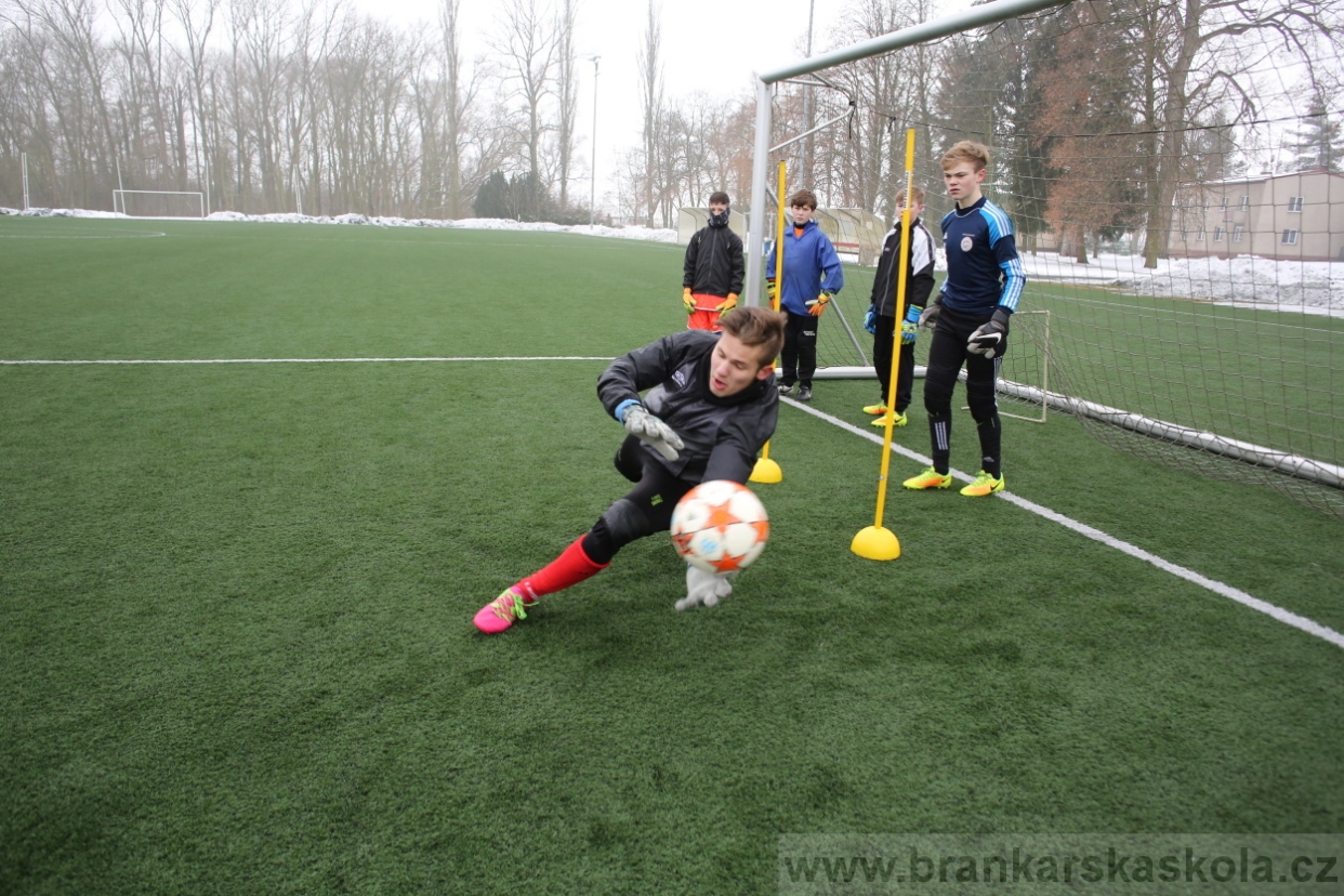 BFŠJCH - Zima 2017 - 3.2,2017