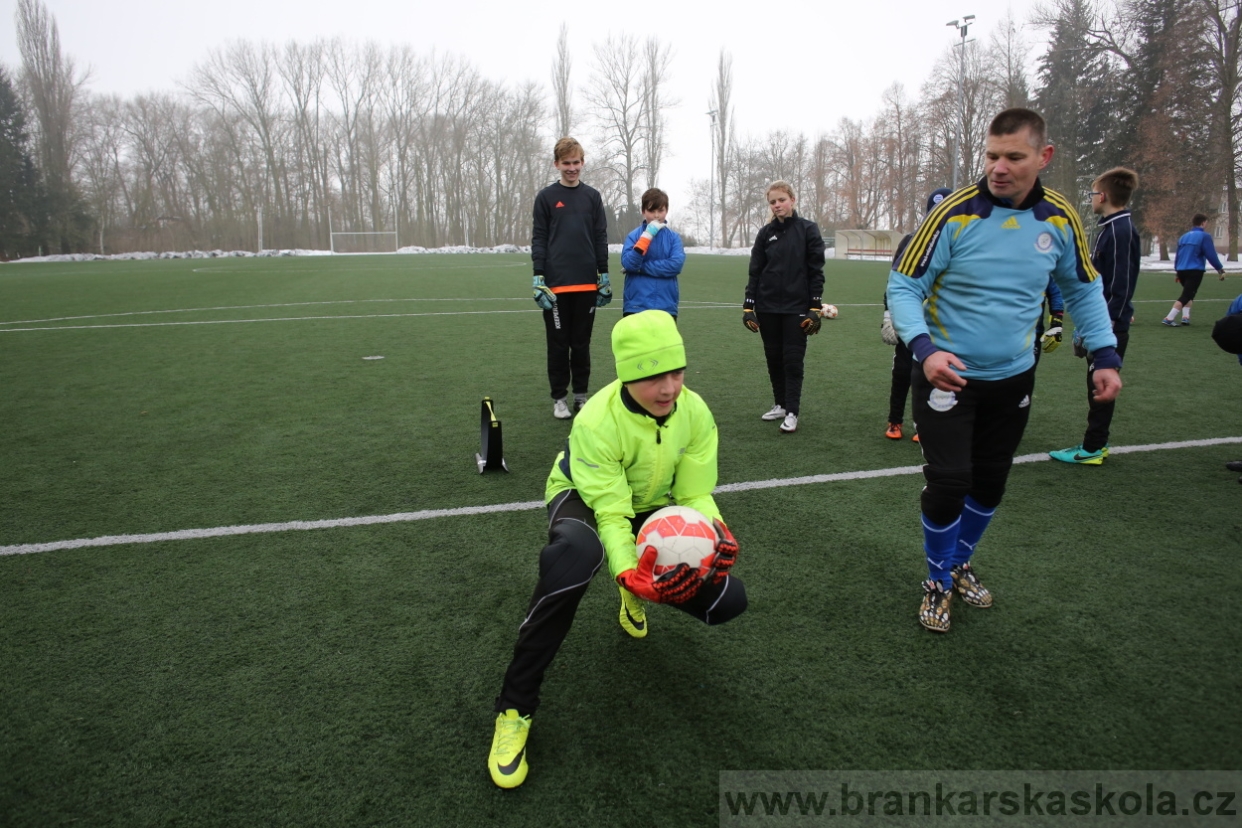 BFŠJCH - Zima 2017 - 3.2,2017