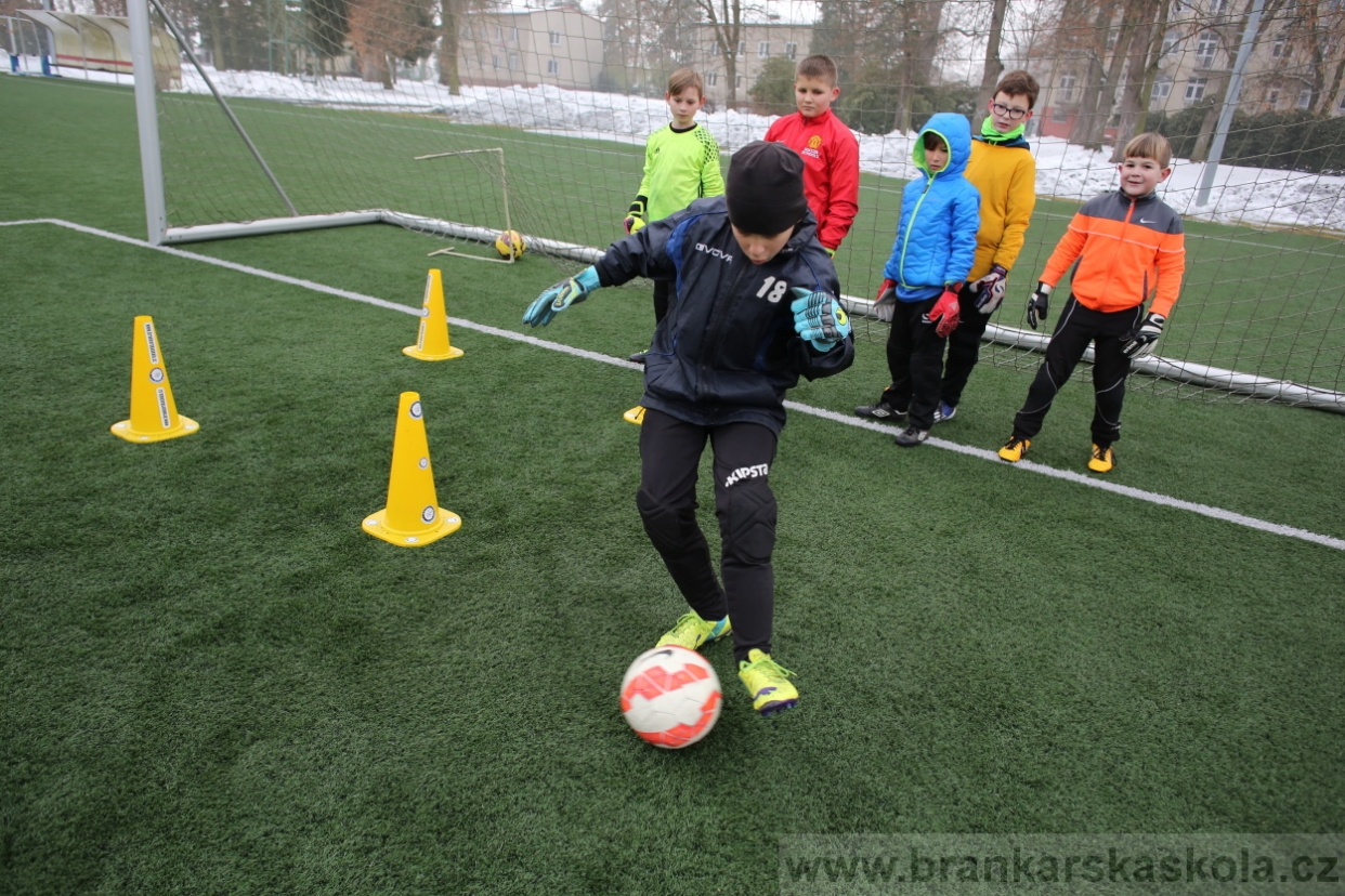 BFŠJCH - Zima 2017 - 3.2,2017