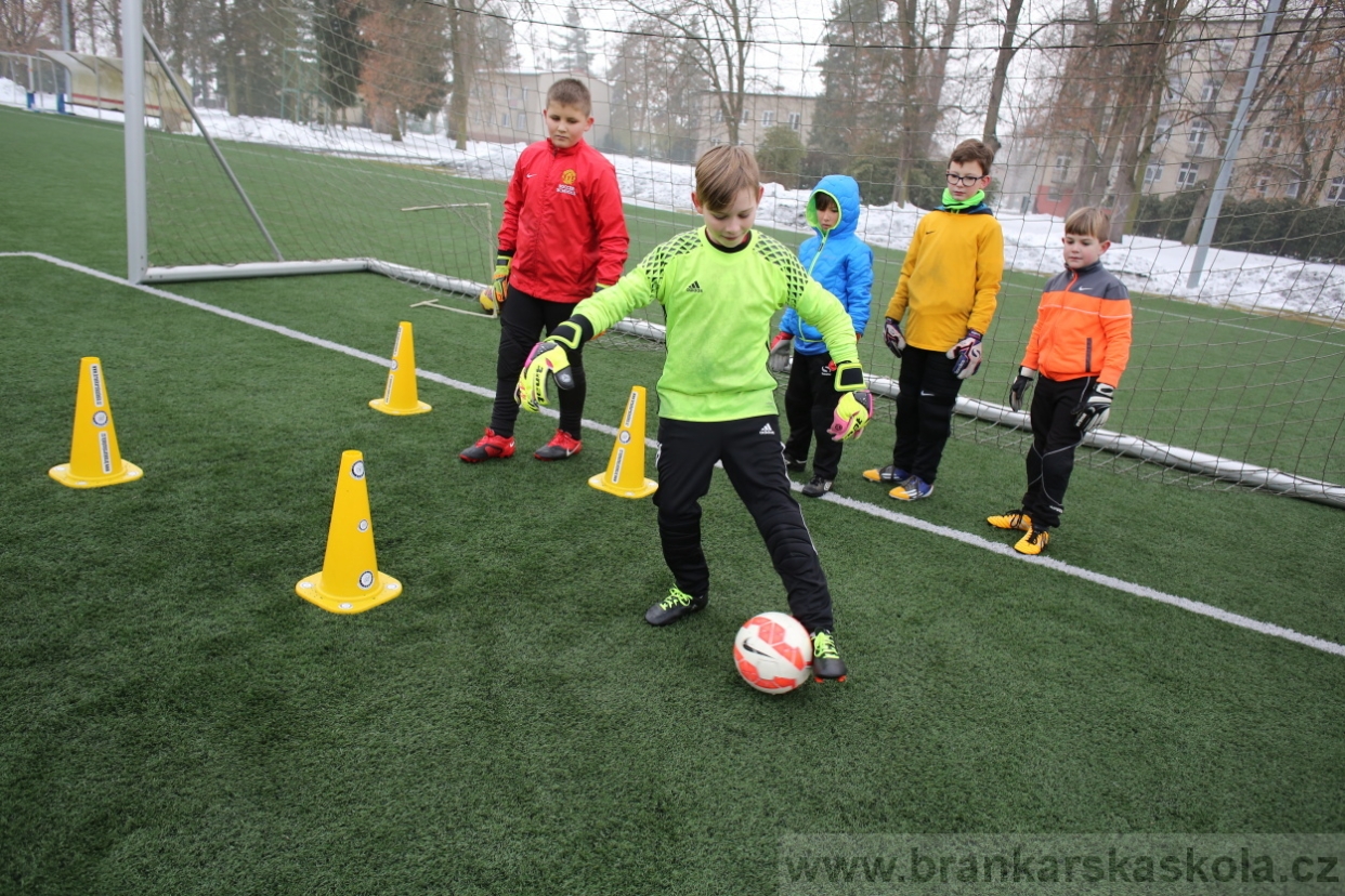 BFŠJCH - Zima 2017 - 3.2,2017