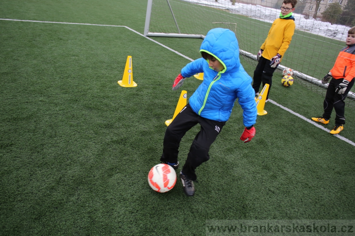 BFŠJCH - Zima 2017 - 3.2,2017