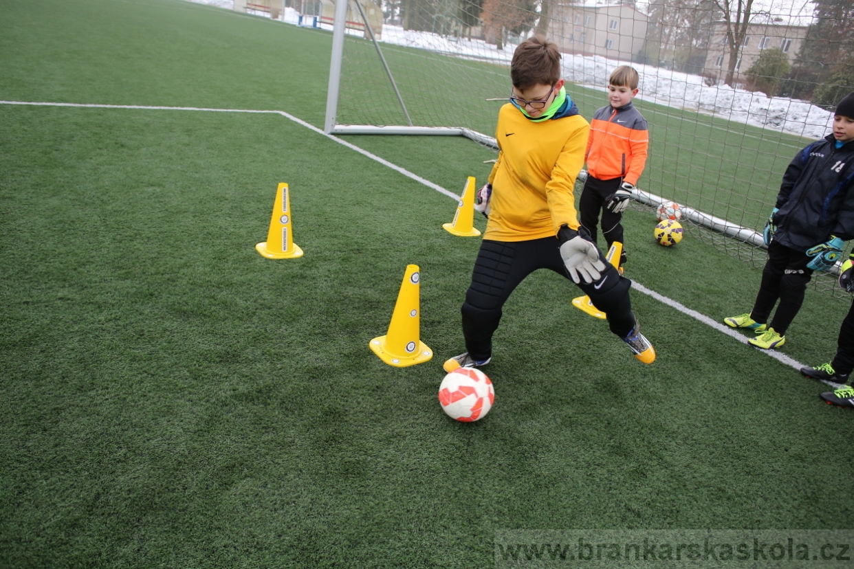 BFŠJCH - Zima 2017 - 3.2,2017