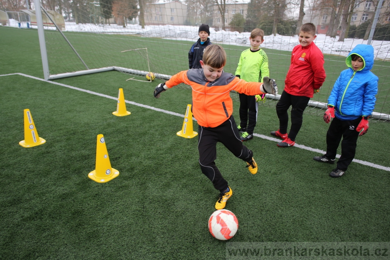 BFŠJCH - Zima 2017 - 3.2,2017