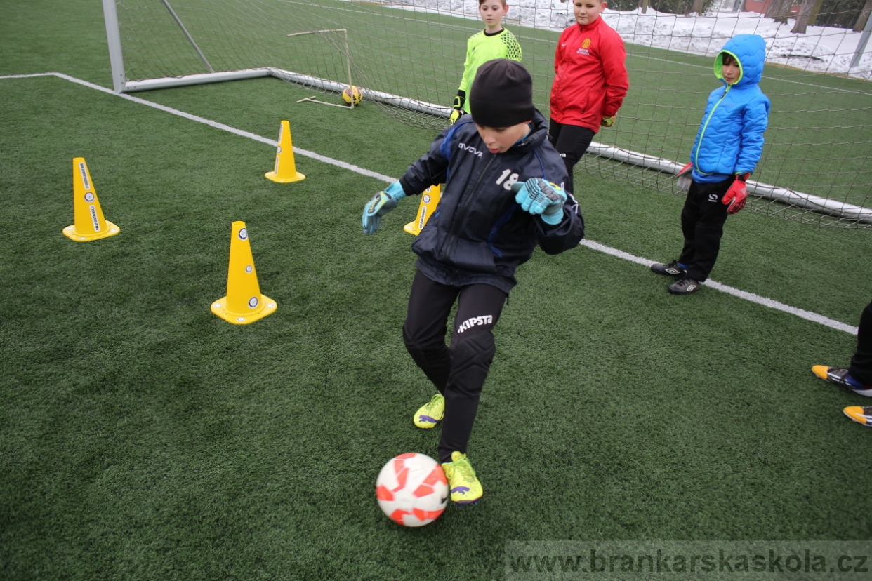 BFŠJCH - Zima 2017 - 3.2,2017