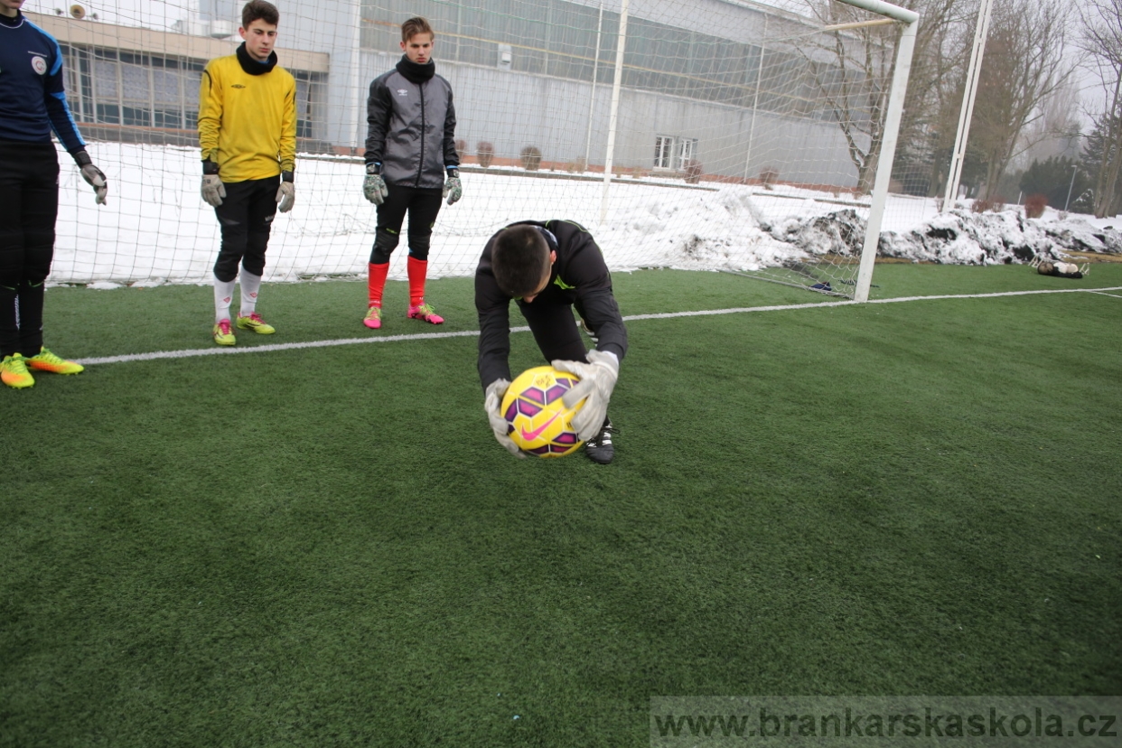 BFŠJCH - Zima 2017 - 3.2,2017