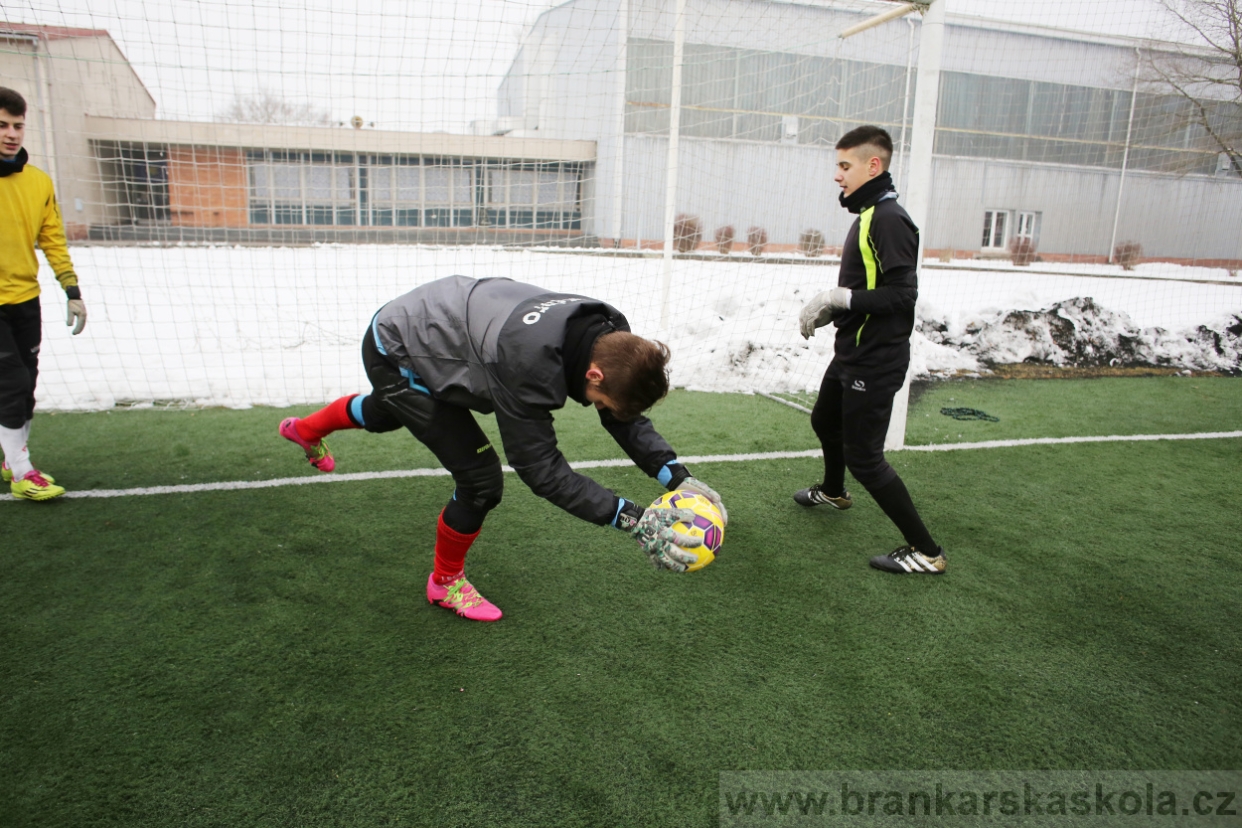 BFŠJCH - Zima 2017 - 3.2,2017