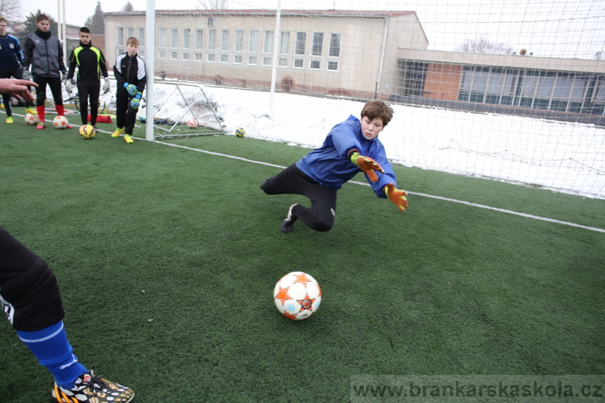 BFŠJCH - Zima 2017 - 3.2,2017