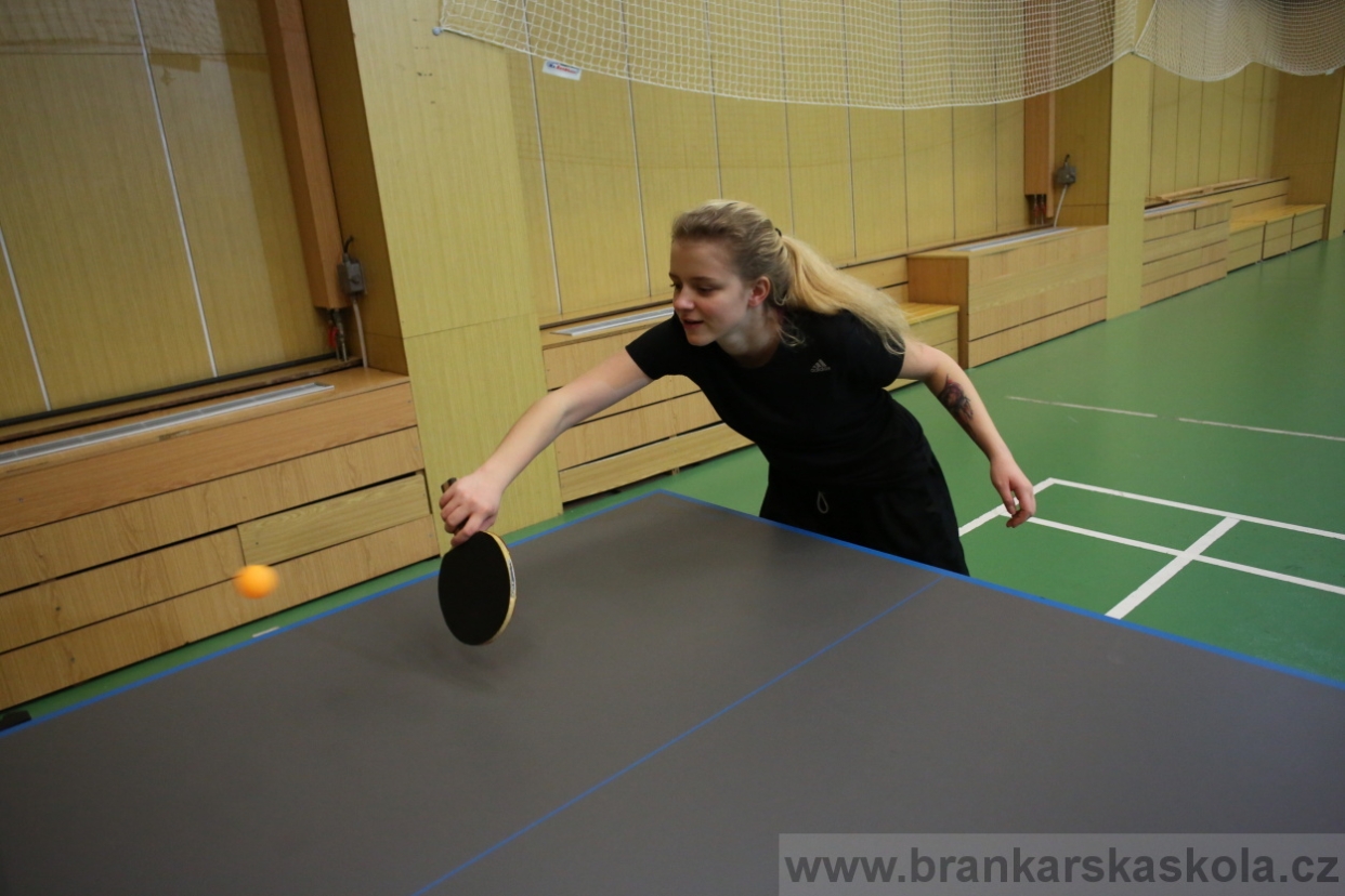 BFŠJCH - Zima 2017 - 3.2,2017