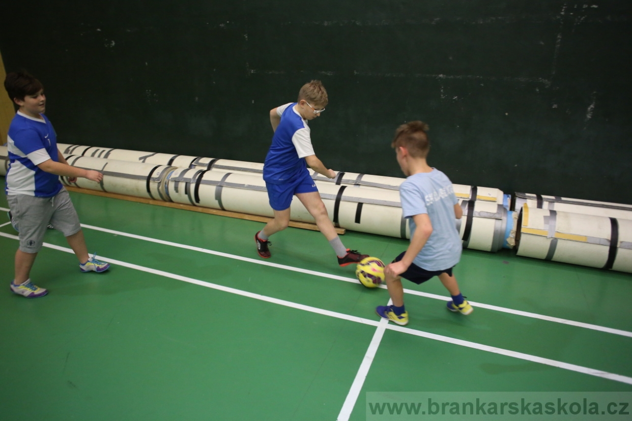 BFŠJCH - Zima 2017 - 3.2,2017