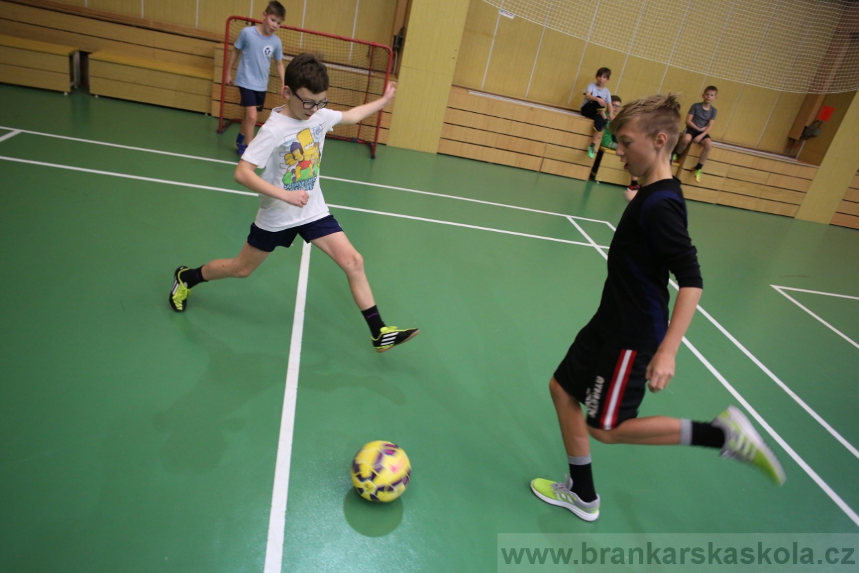 BFŠJCH - Zima 2017 - 3.2,2017