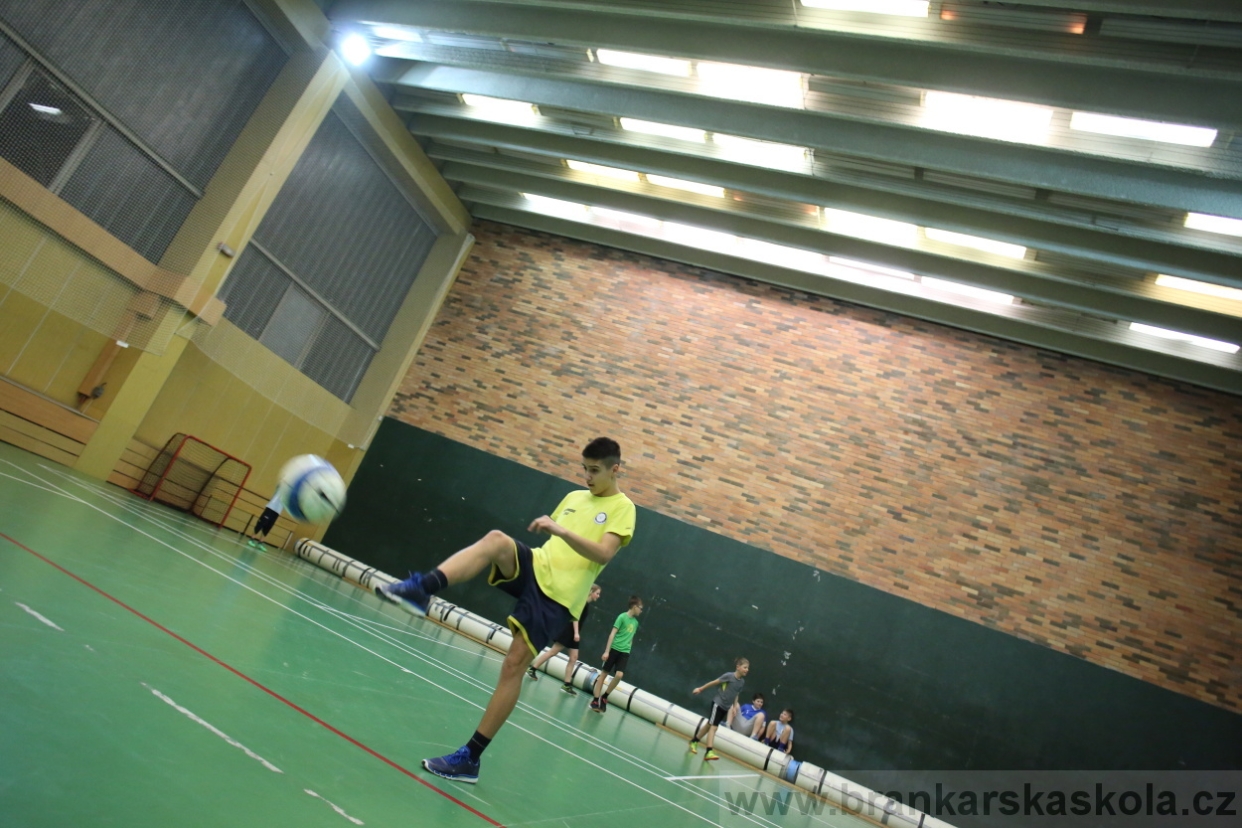 BFŠJCH - Zima 2017 - 3.2,2017