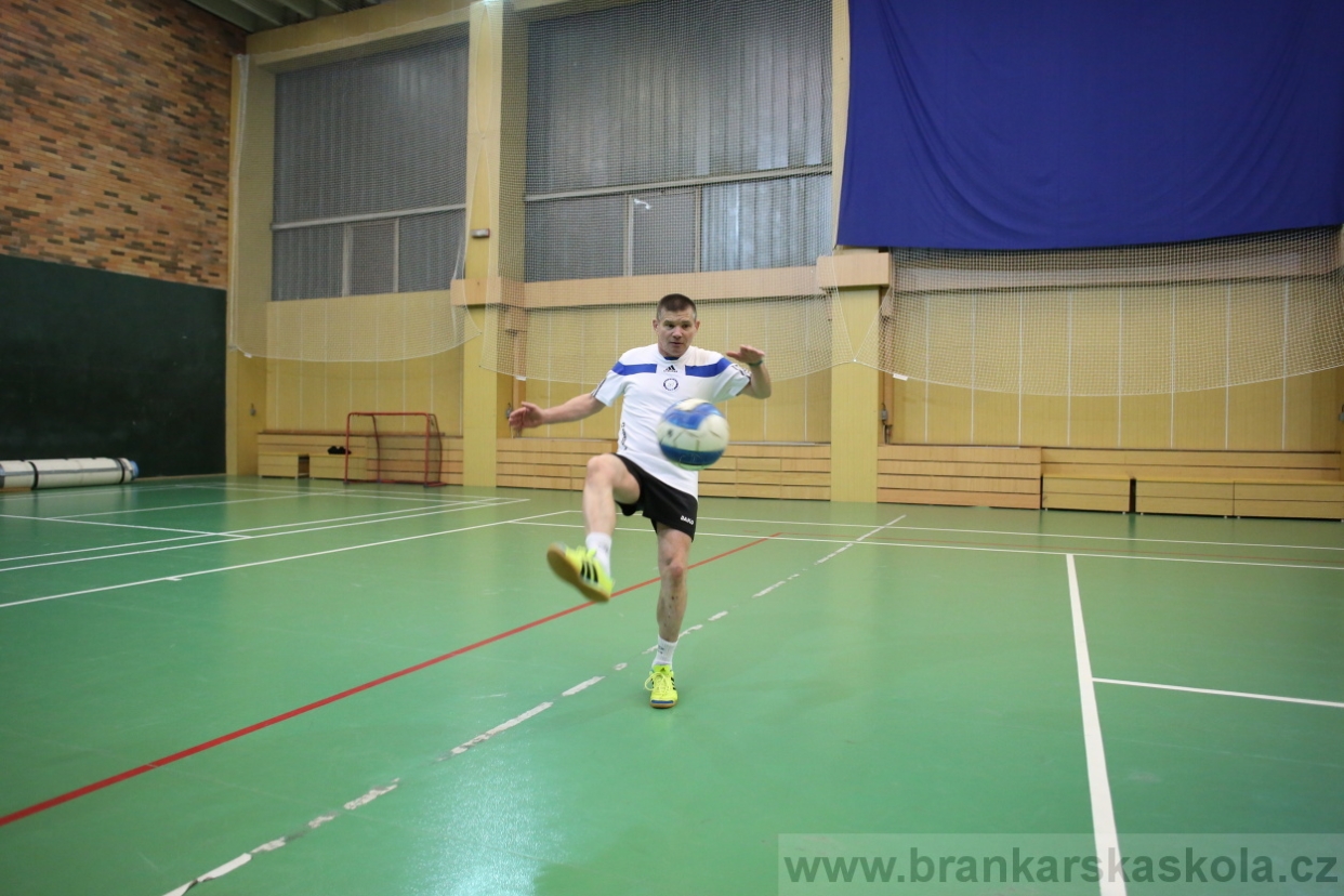 BFŠJCH - Zima 2017 - 3.2,2017