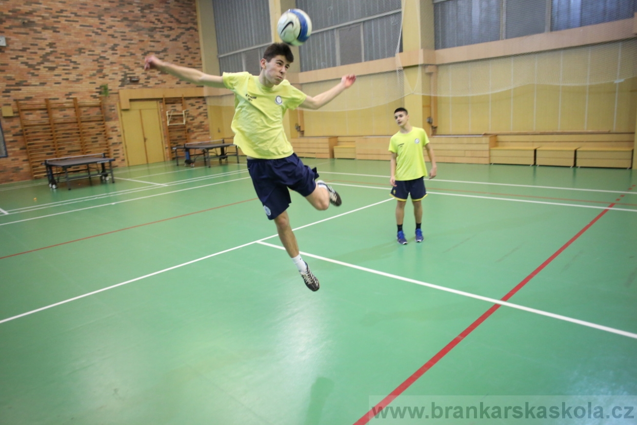 BFŠJCH - Zima 2017 - 3.2,2017